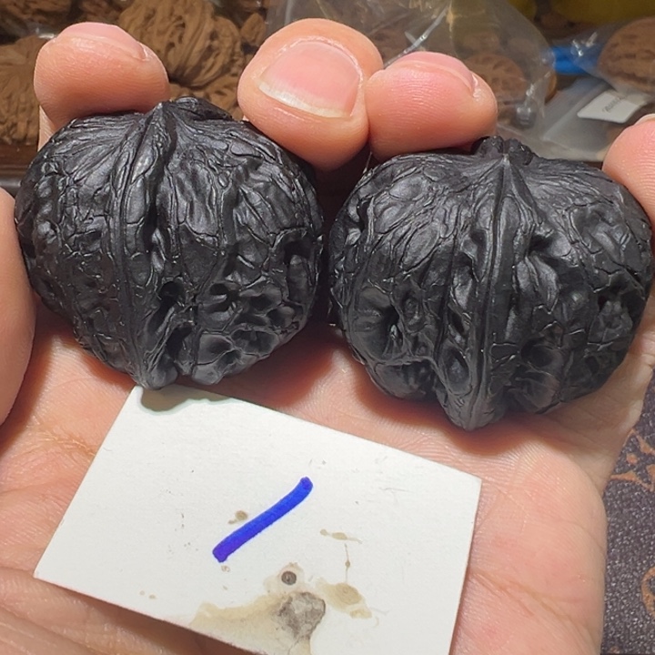 核桃全品无修元宝地闷