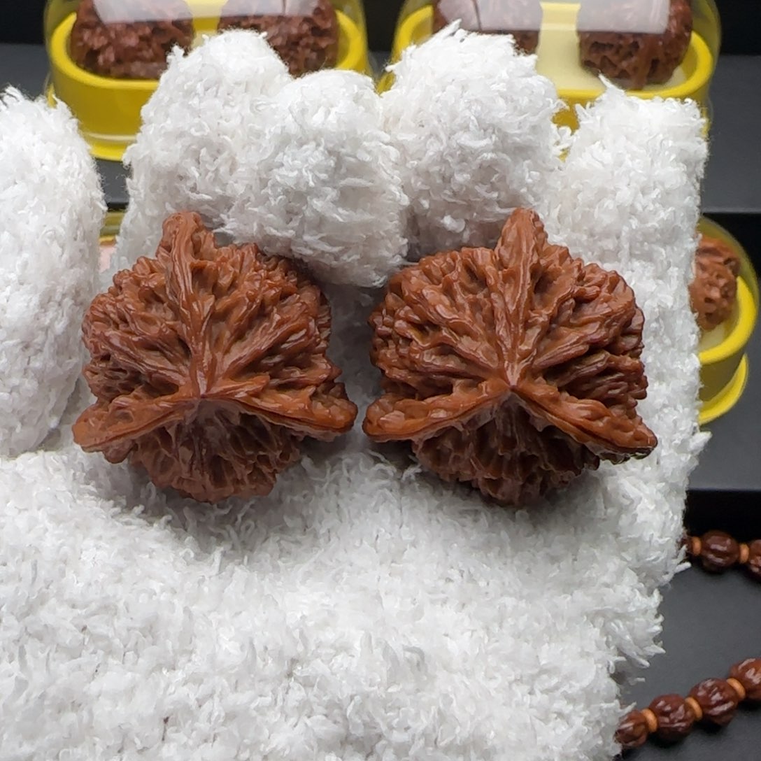 文玩核桃把件盘龙纹奔全39.5