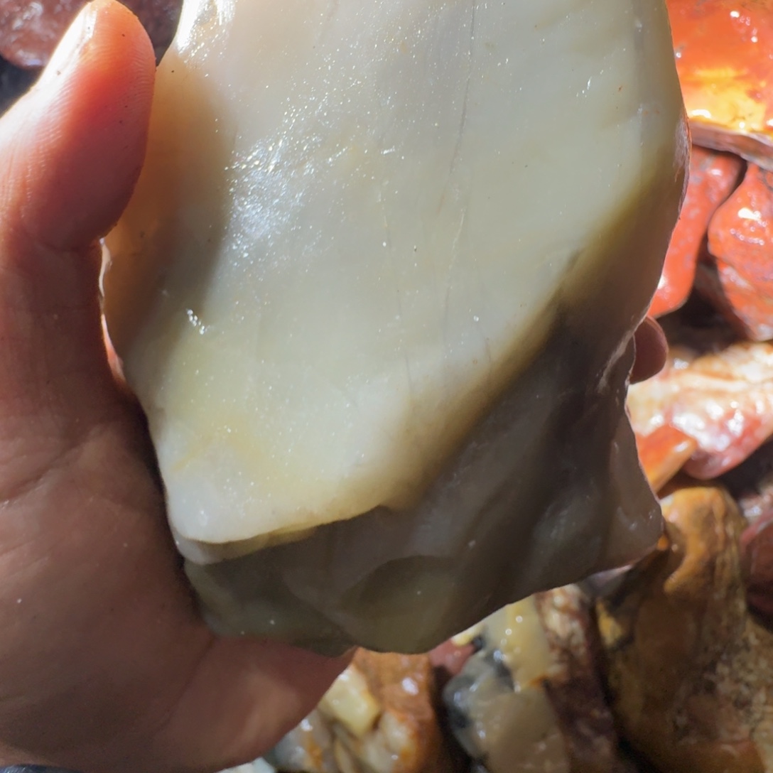 东***学寿山石89988998899988