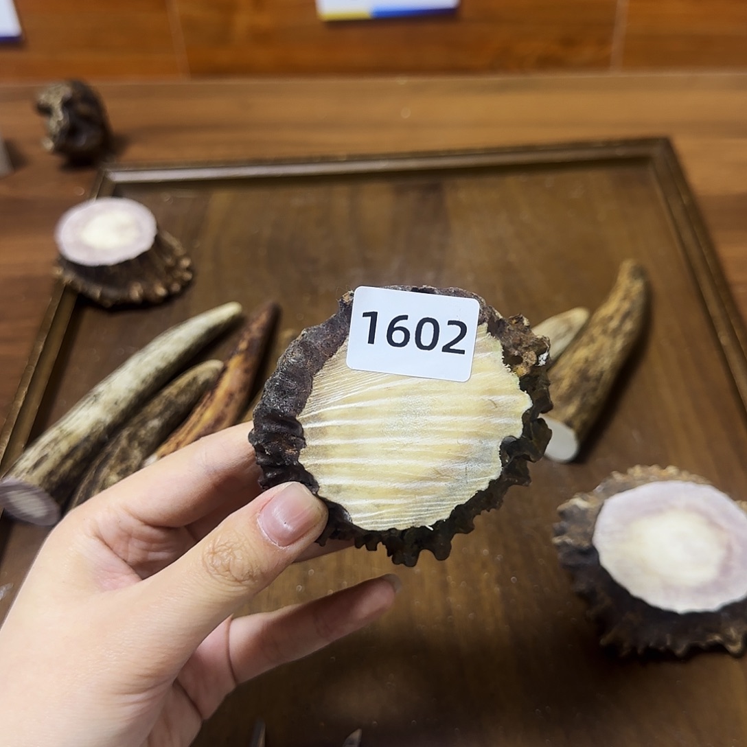 鹿骨手串/手链1602 角帽