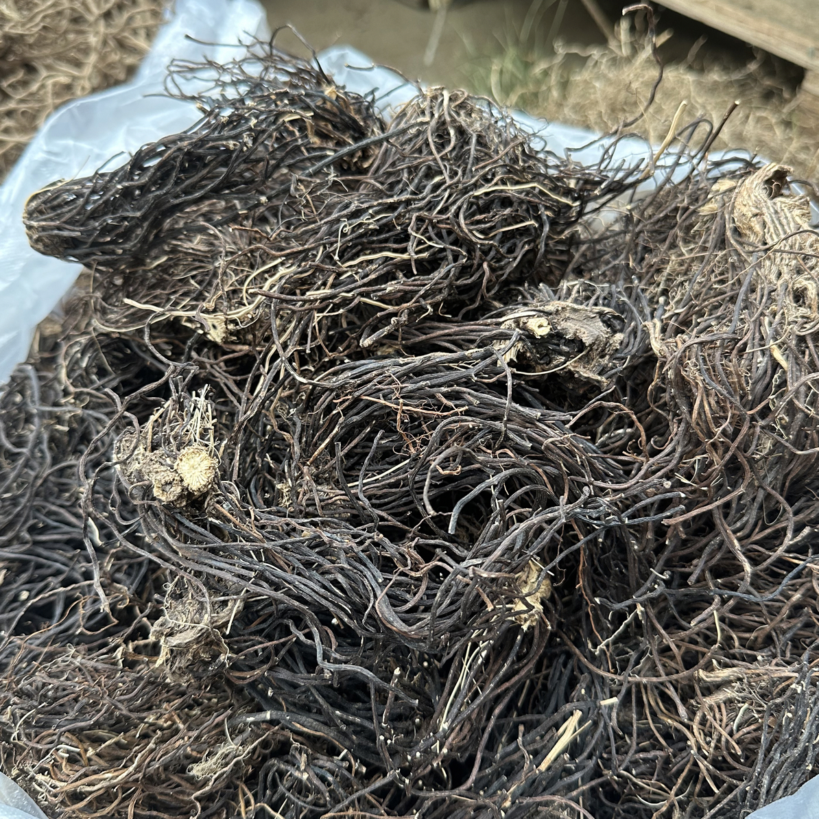 贵州特产干货整根威灵仙山货500克包邮
