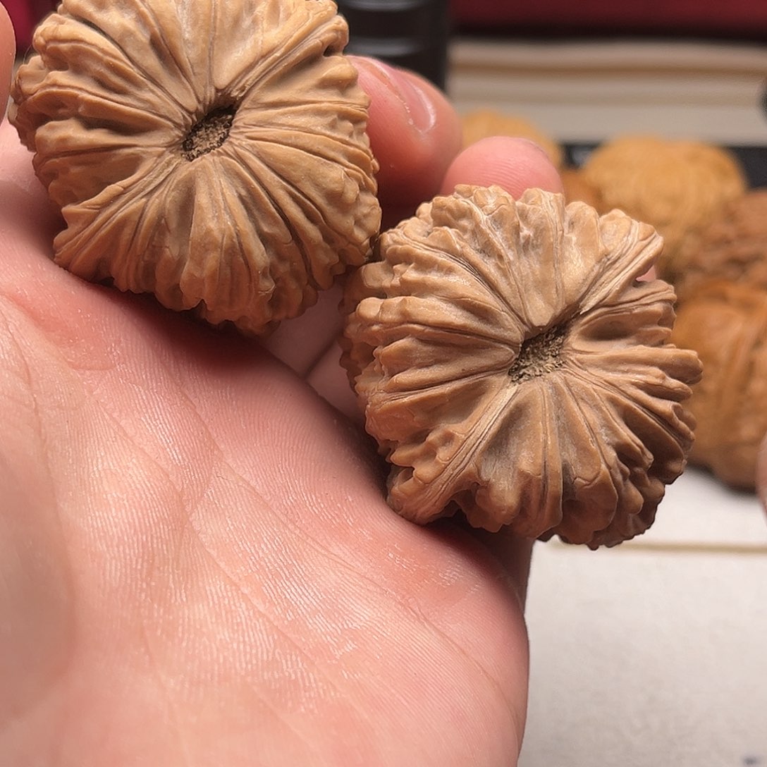 文玩核桃手把件亿核呜呜