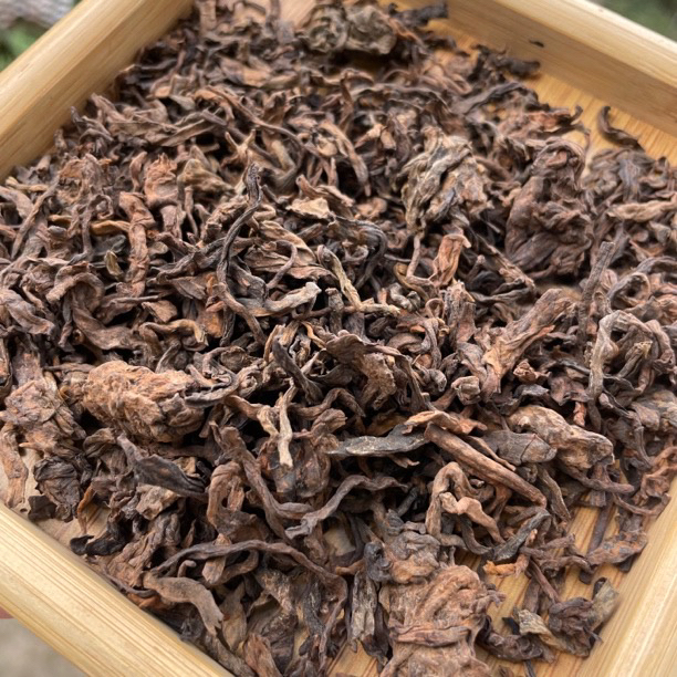 【小地方-“奶香”高货古树熟茶散料】2025年古树熟茶