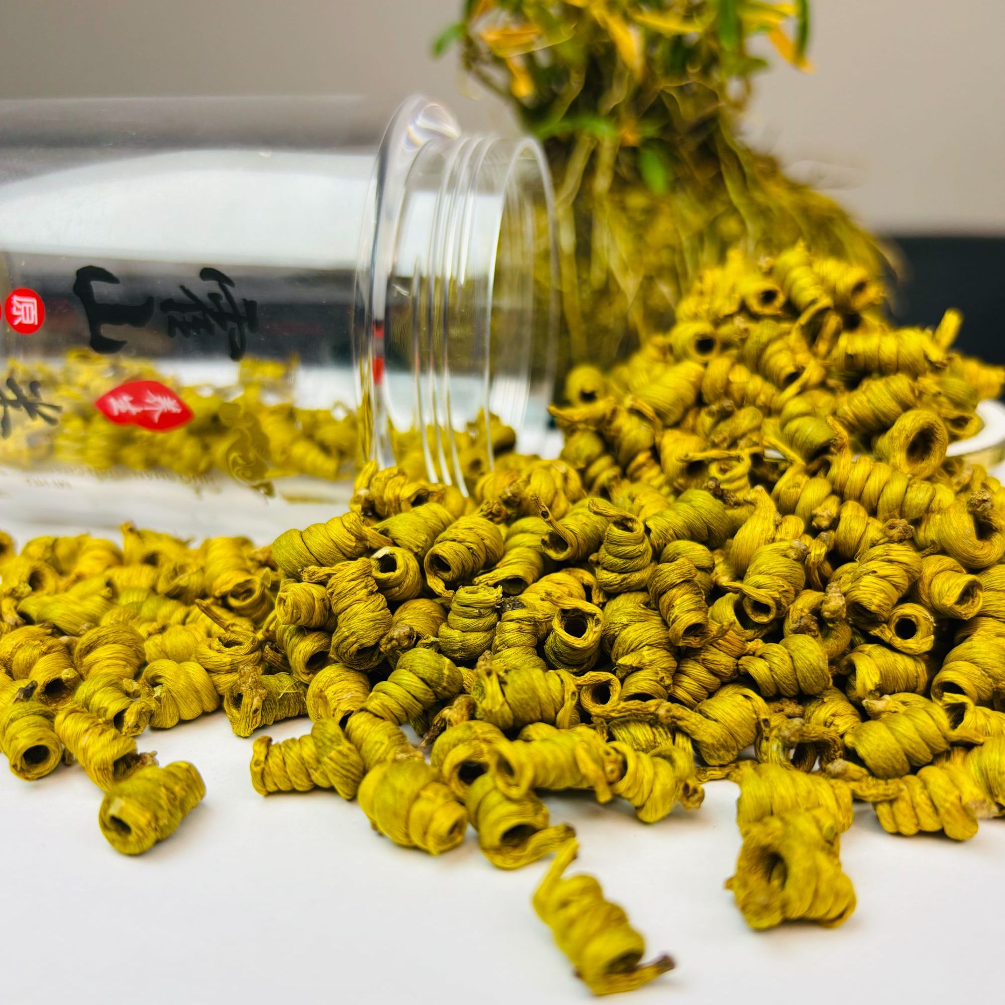 [斛养堂]14121高品质霍山米斛龙头凤尾5年仿野生生滋补品