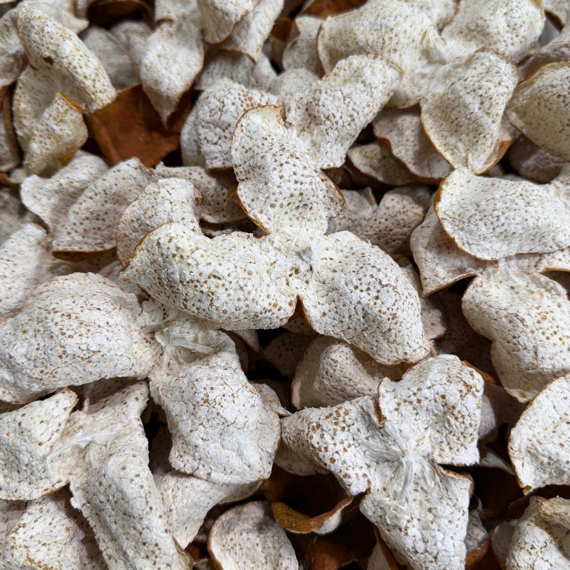 50年茶枝柑陈皮老树2025年大红皮（生晒）