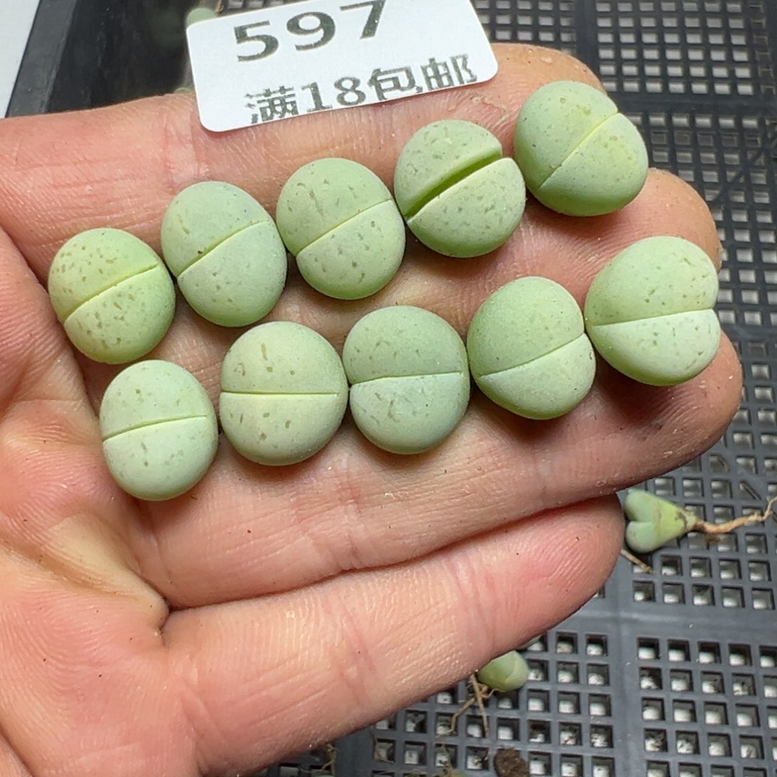 【闪购商品】 597。    