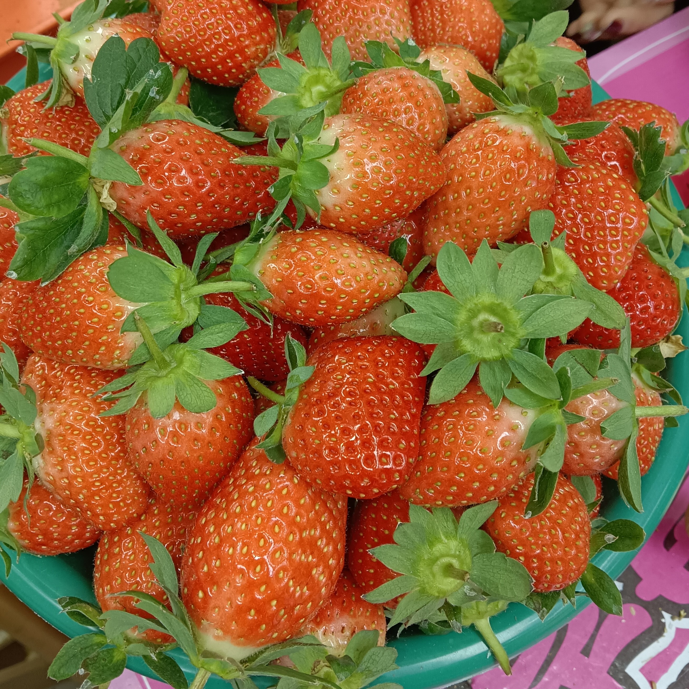 奶油草莓39/2斤装