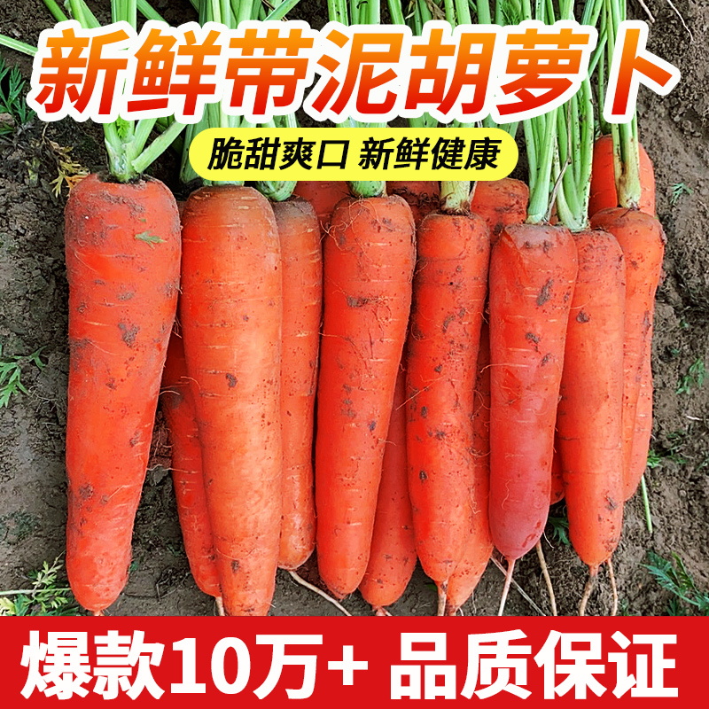 2024新鲜胡萝卜脆甜可口现挖新鲜胡萝卜带箱5/9斤