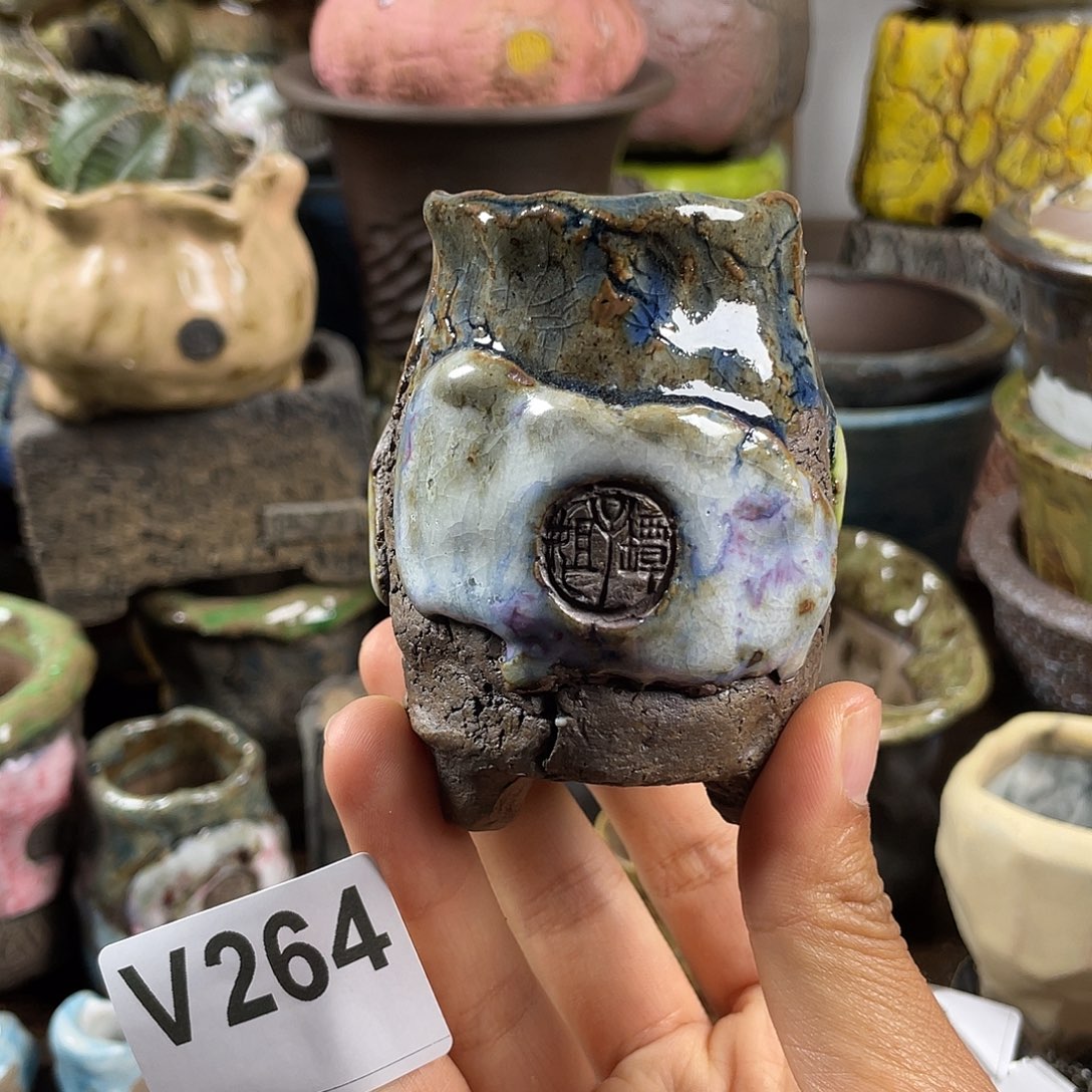 默认微次  限时福利 坛子姐花盆