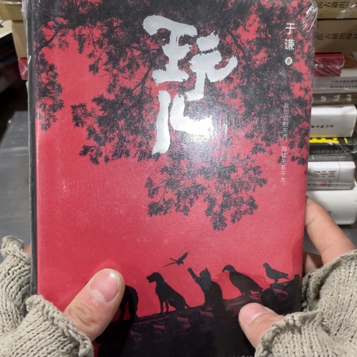 于谦 玩儿正版塑封