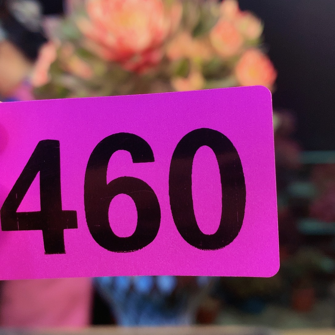 sssssssssssssssssssssss460