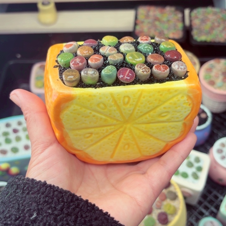 709零下地区记得拍保温箱满18包邮