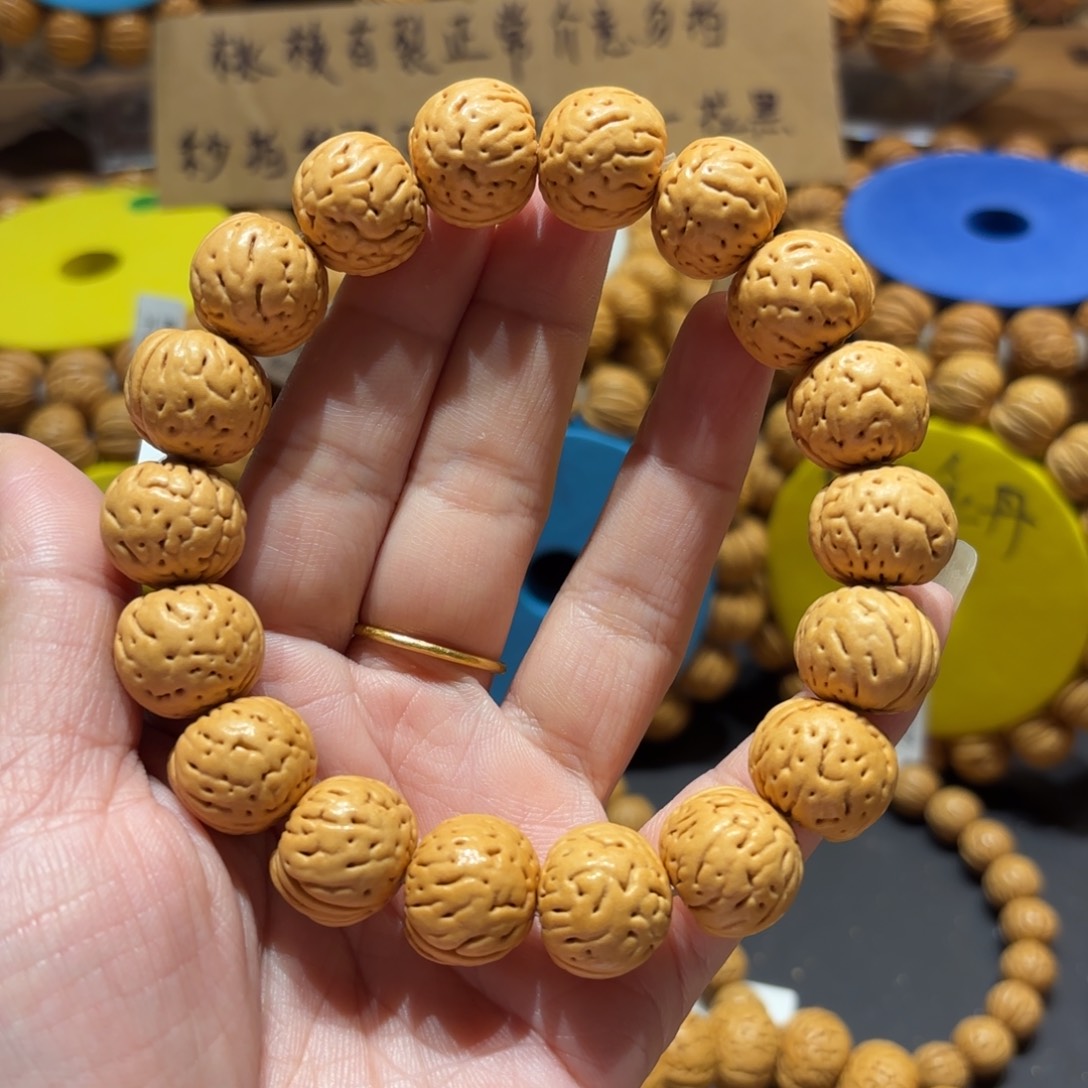 17尺寸小金丹1号串