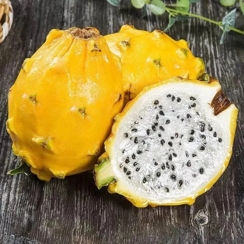 云南特产山货~燕窝果~卤蛋甄选