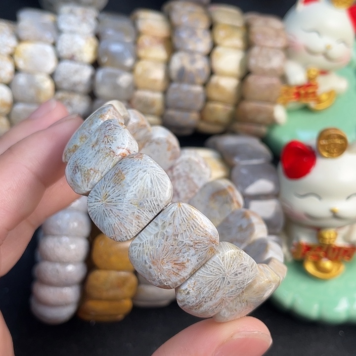 硅化珊瑚（珊瑚玉）未镶嵌手镯