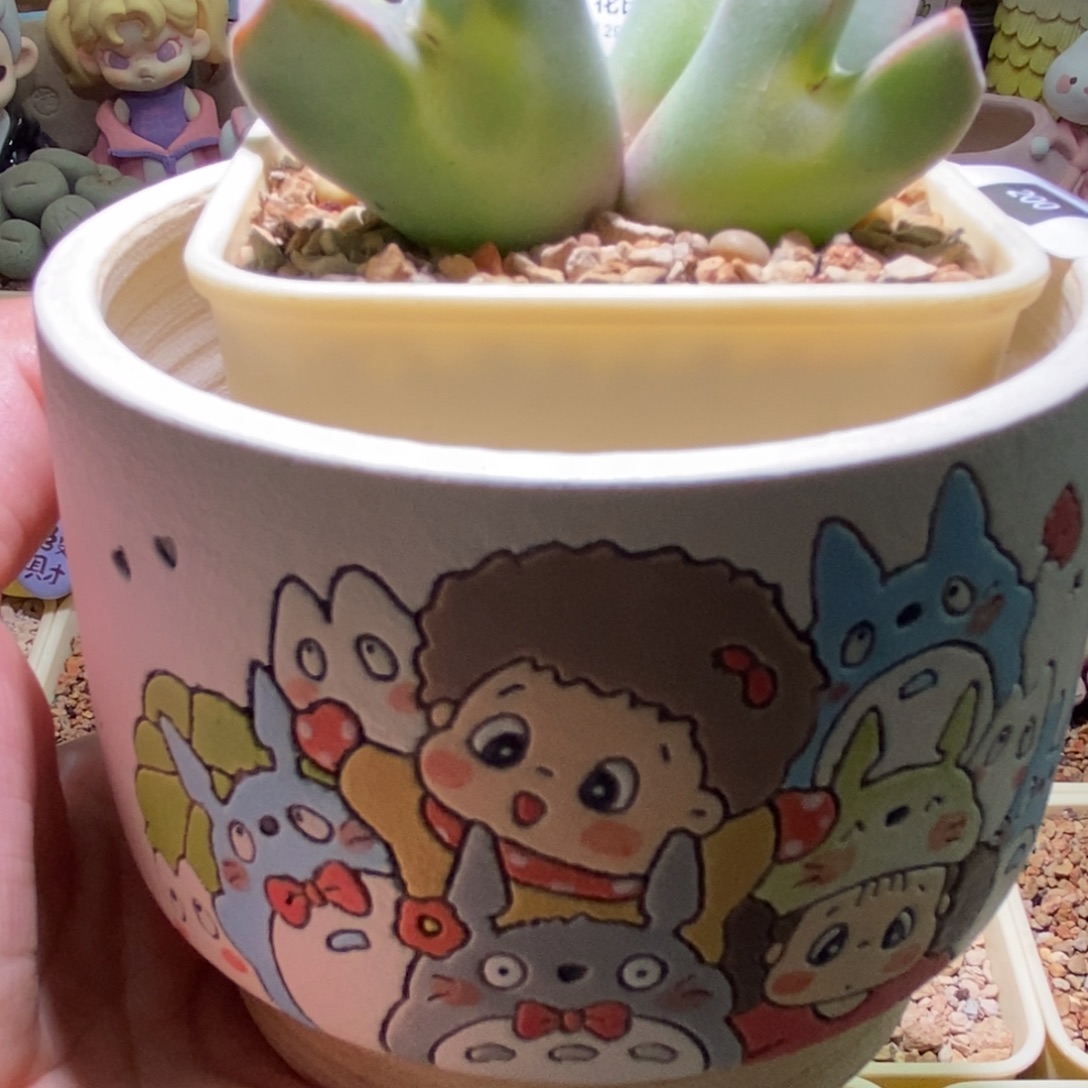 暮****盆盆盆一个好看好看