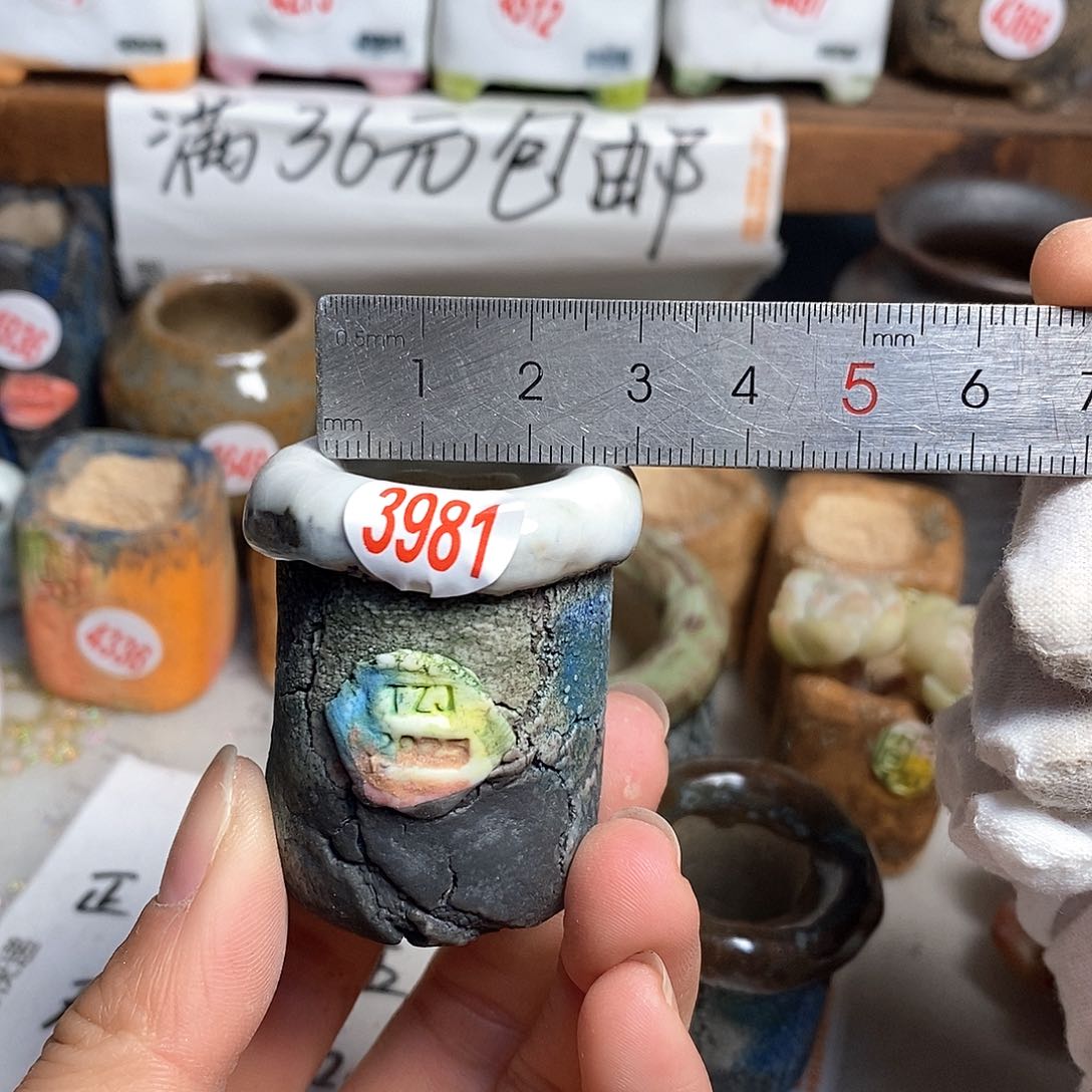 红陶拍5送一个小