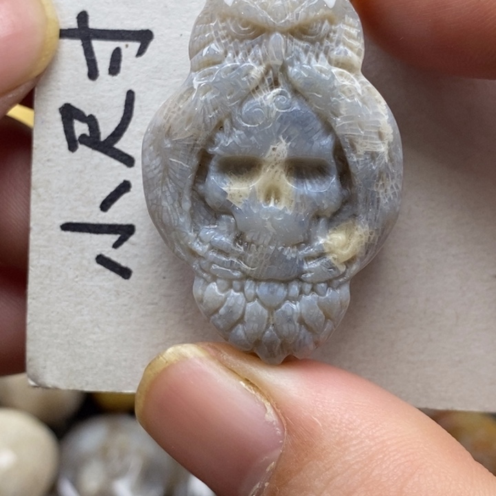 硅化珊瑚（珊瑚玉）未镶嵌颈饰