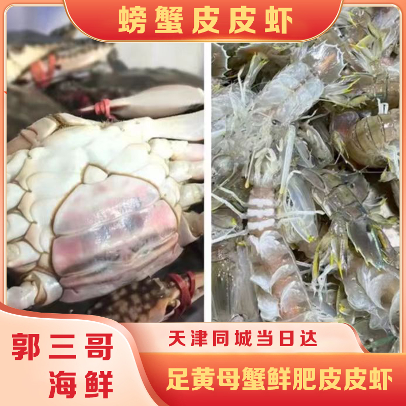 混搭【保鲜不保活】足黄母蟹和小片皮皮虾母蟹单只3两左右一斤3只