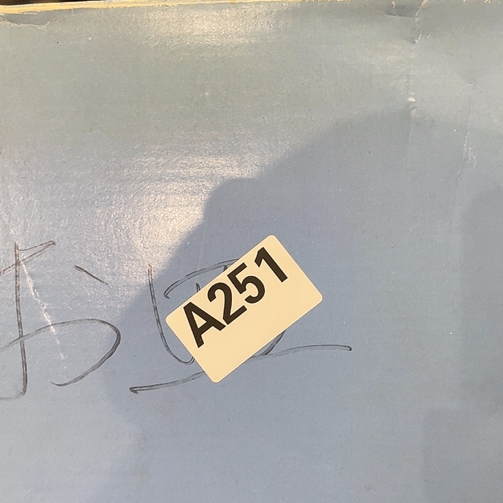 瓷片飞**鱼美瓷美瓷美瓷251