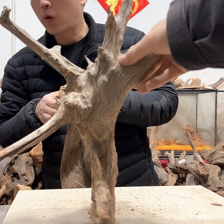 柏木岁**月我们都是好孩子啊我也