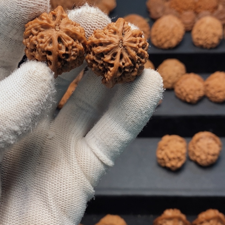 把件文玩核桃小**子秦岭秦闷