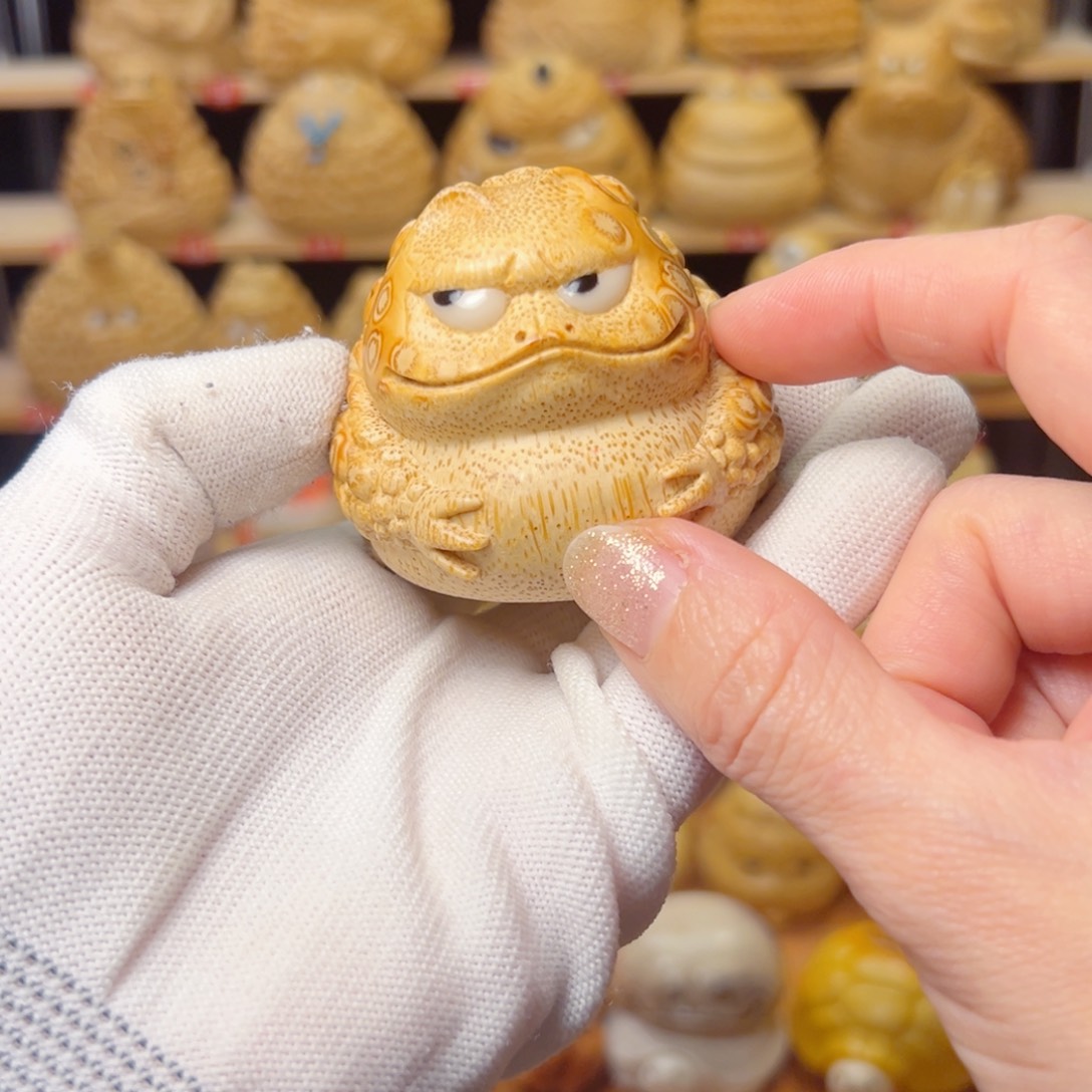 M***欒竹类可爱金蟾11122244