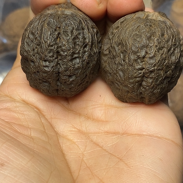 文玩核桃把件云南铁核桃48
