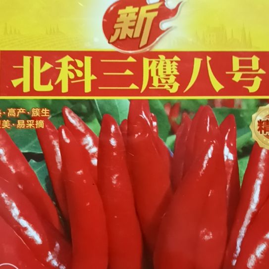 中国大陆河南省商丘市柘城县辣椒大市场807