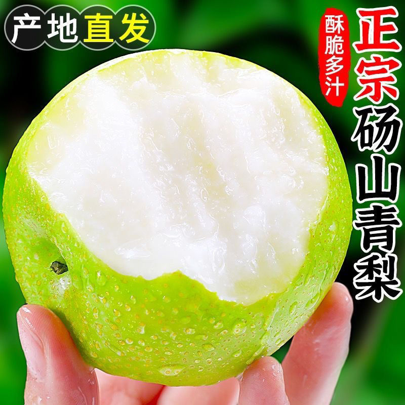 【极兔发货】安徽砀山翠玉梨现摘现发产地直发坏果包赔