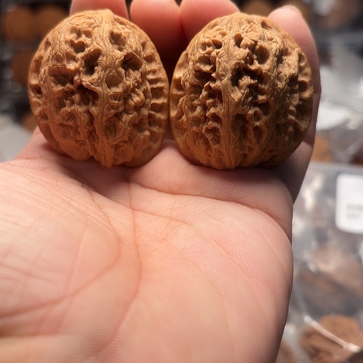 文玩核桃将军膀40-416