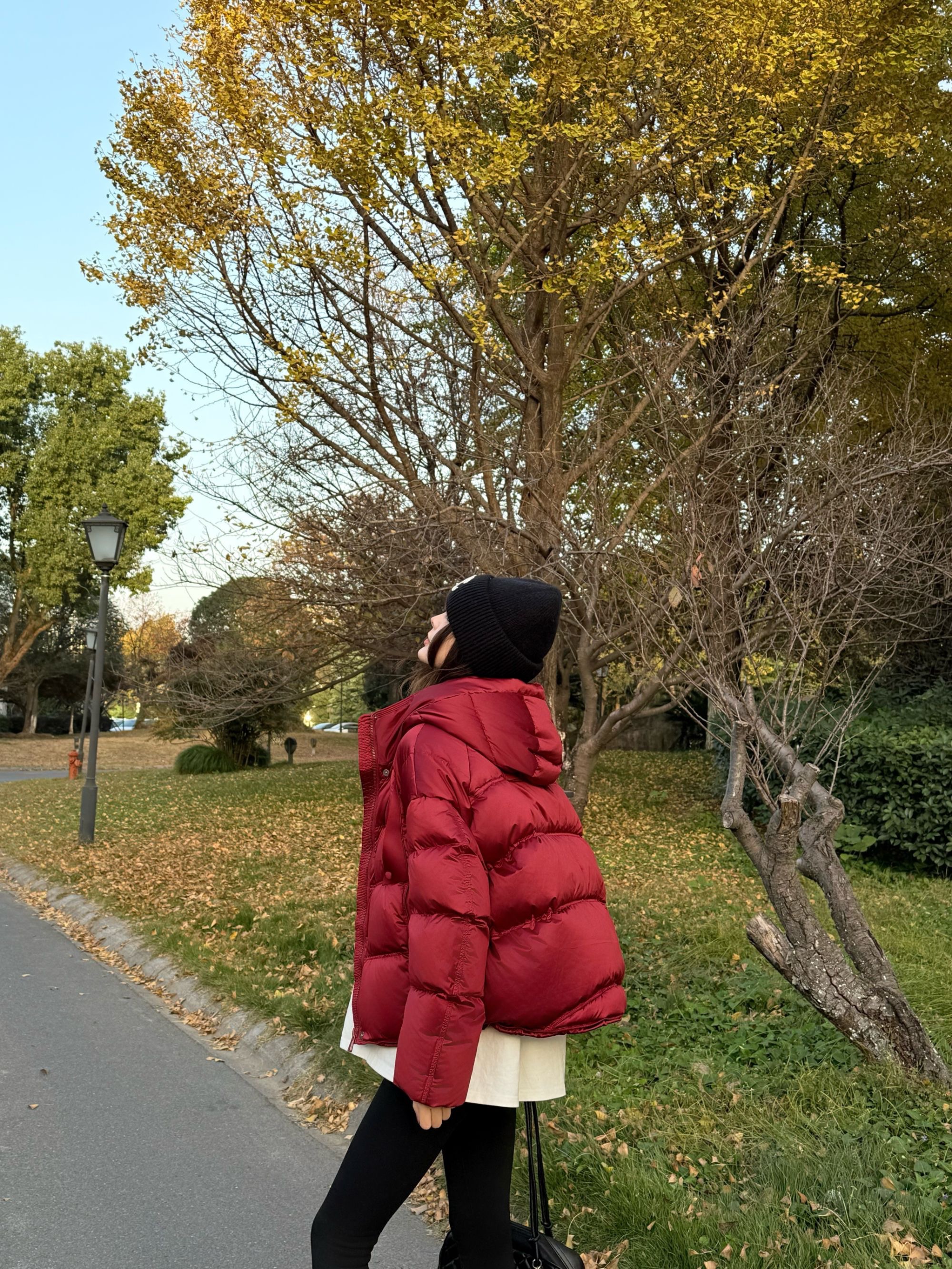 【阿豪专属】塔夫绸小富婆冬季厚款女短款高定连帽90白鹅绒服