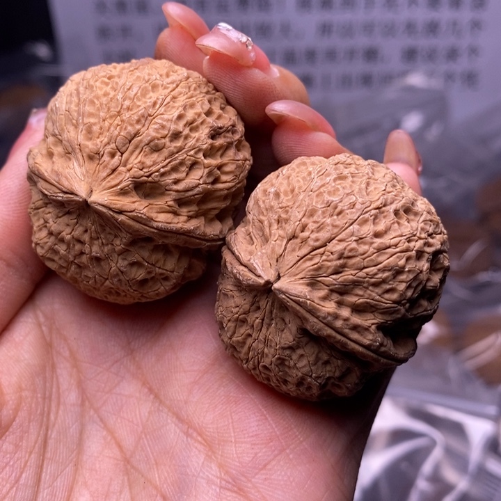 核桃云南野生铁核桃91号41