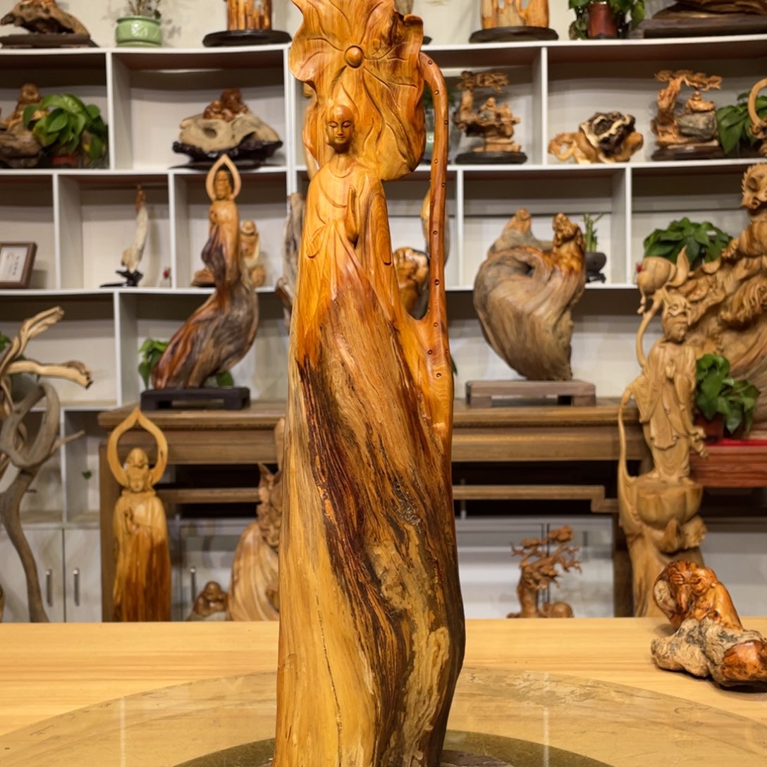 柏木（崖柏）64646566565