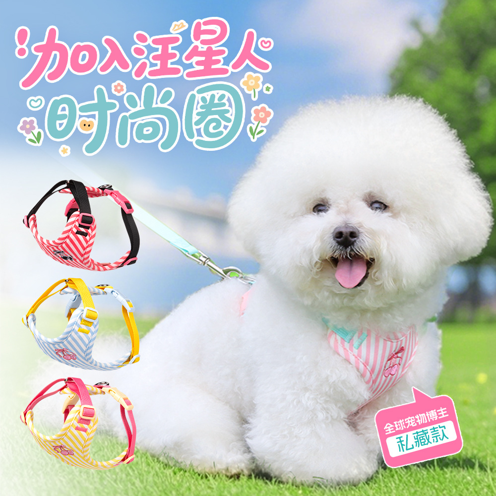 狗狗牵引绳可爱猫咪防挣脱中小型宠物胸背带舒适透气狗绳牵引绳