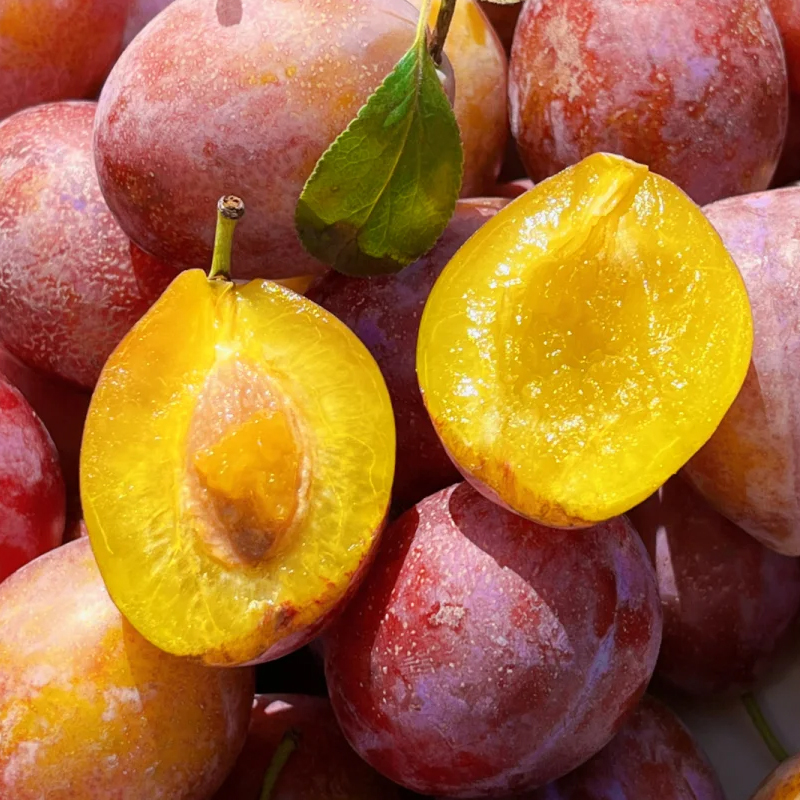 【法兰西西梅次日达】新疆喀什伽师西梅净重4斤顺丰包邮