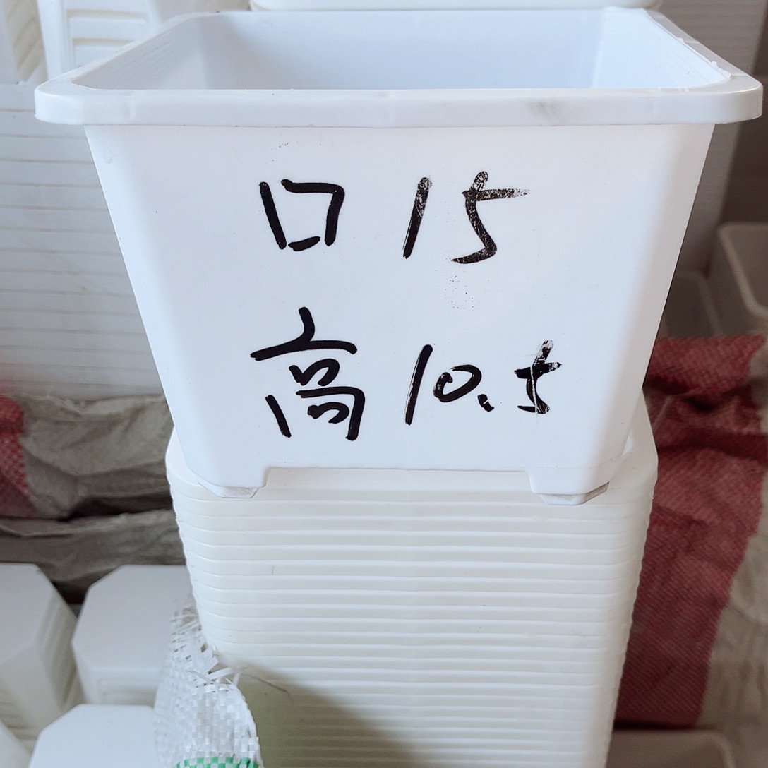 树脂福利款15方白色盆20个无托