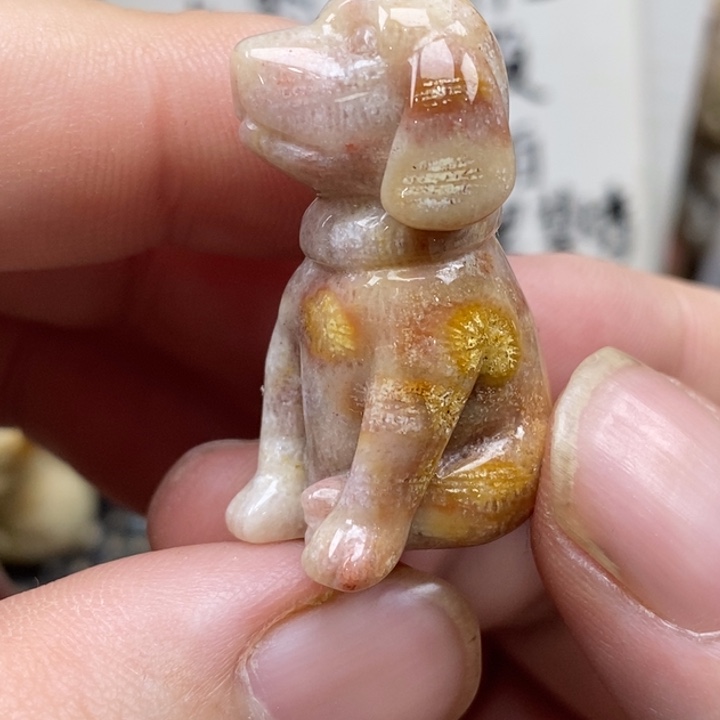 硅化珊瑚（珊瑚玉）未镶嵌颈饰