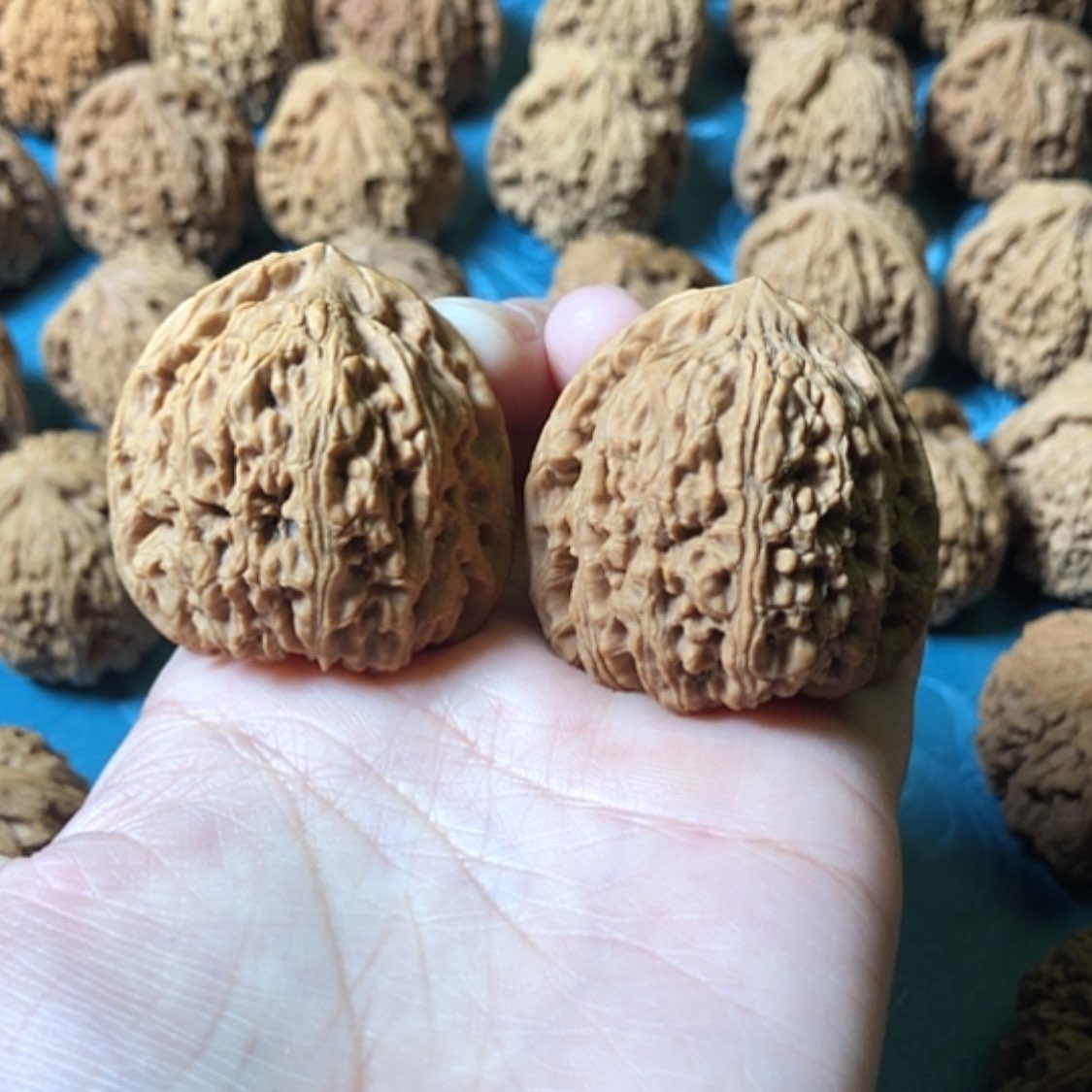 【闪购商品】文玩核桃把件一代将