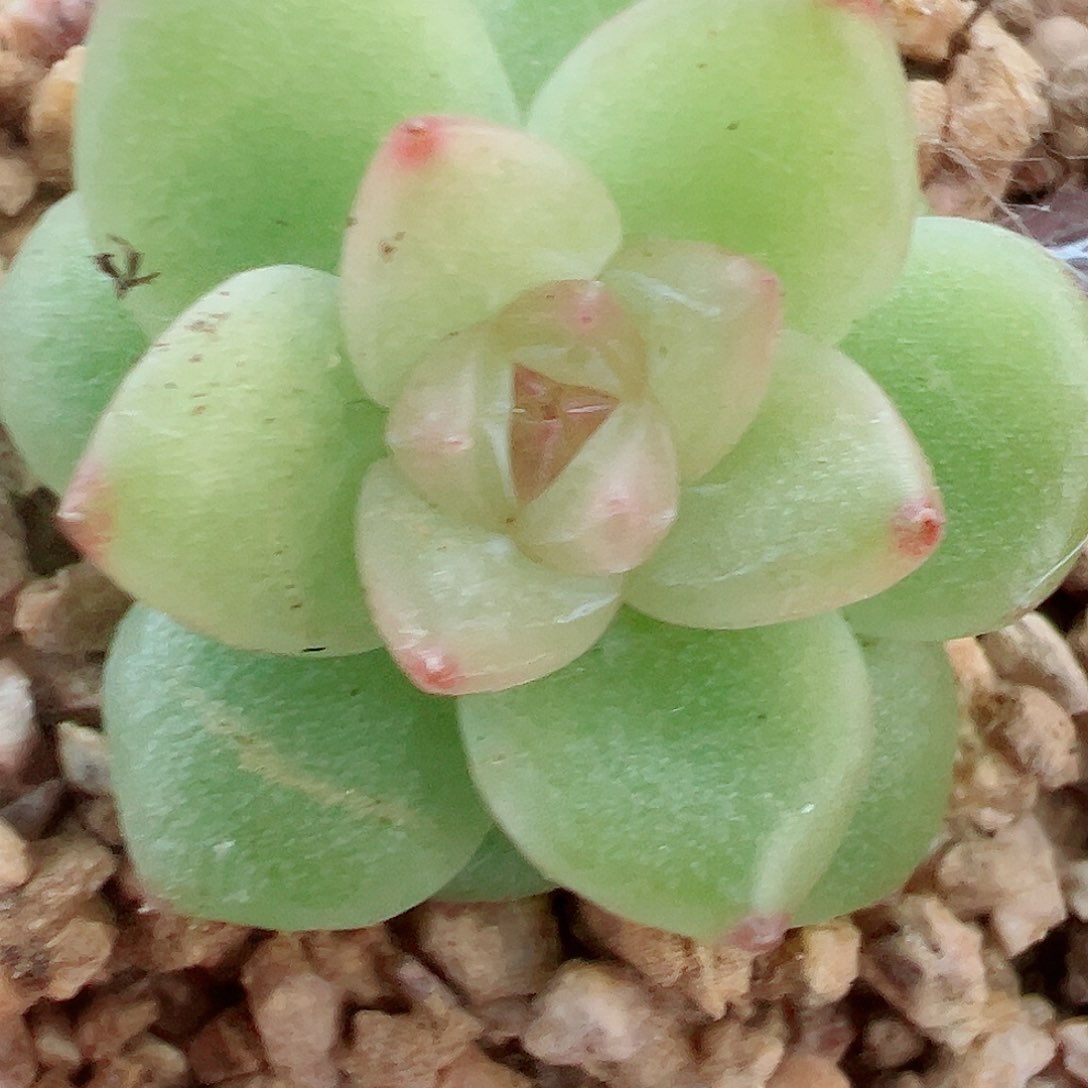 89哈哈哈哈哈哈哈哈