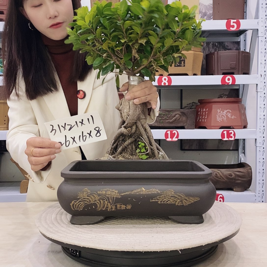 紫砂花盆紫砂花盆
