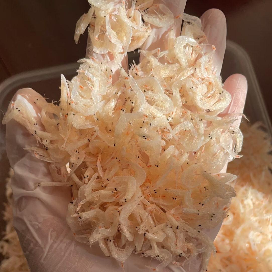 野生淡干无盐虾皮新货孩子老人