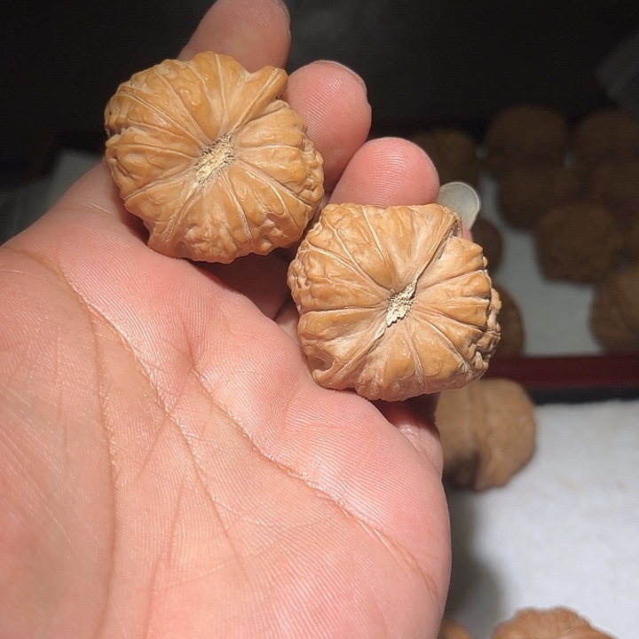 木40➕全品南瓜敦。    