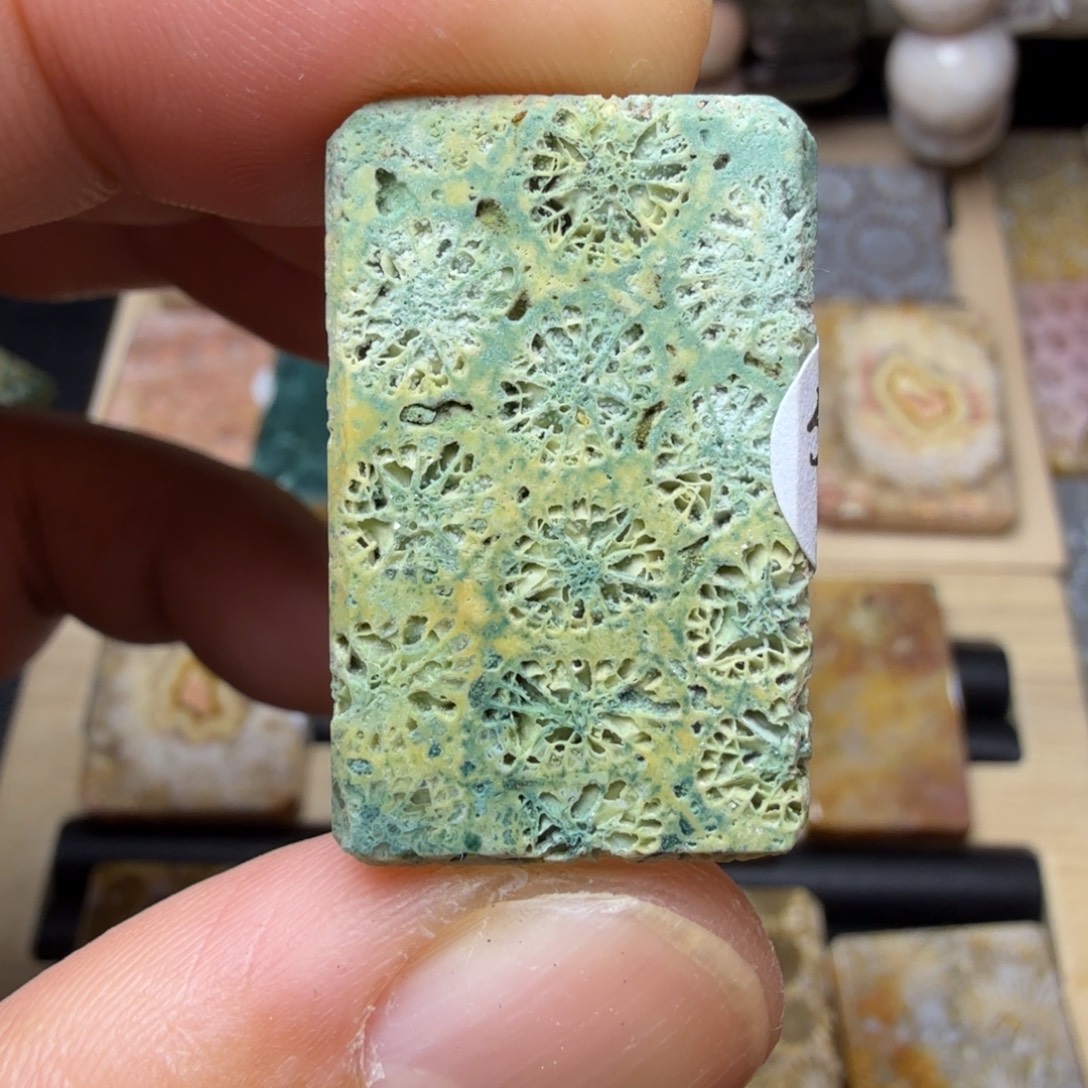 硅化玉未镶嵌纯天然色有机玉石保真色骨骼花