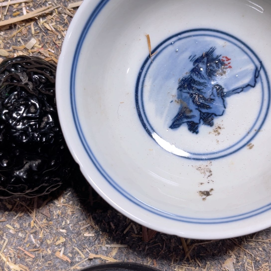 盘瓷器瓷器瓷器瓷器瓷器