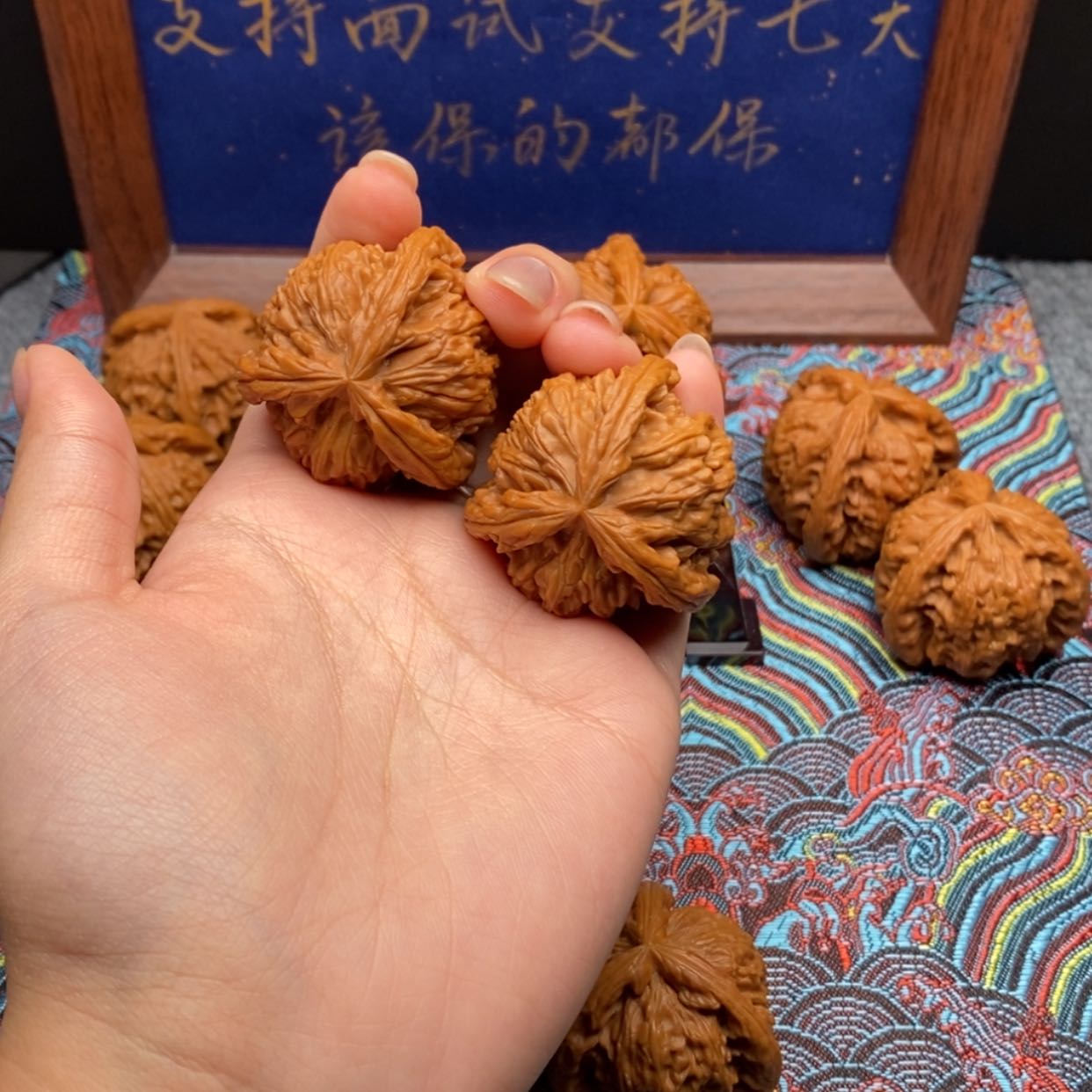 【闪购商品】唉*喂白狮