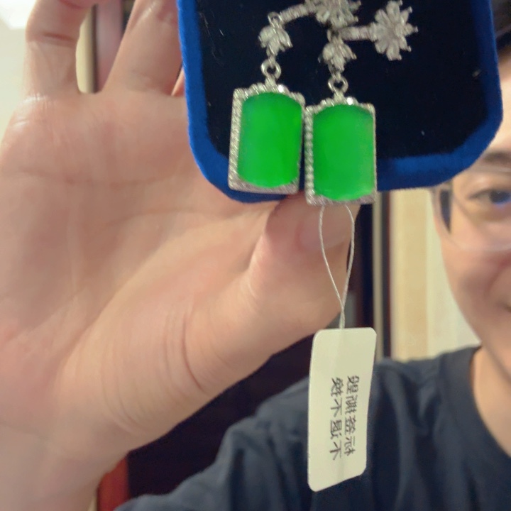 翡翠银S925镶嵌颈饰耳饰