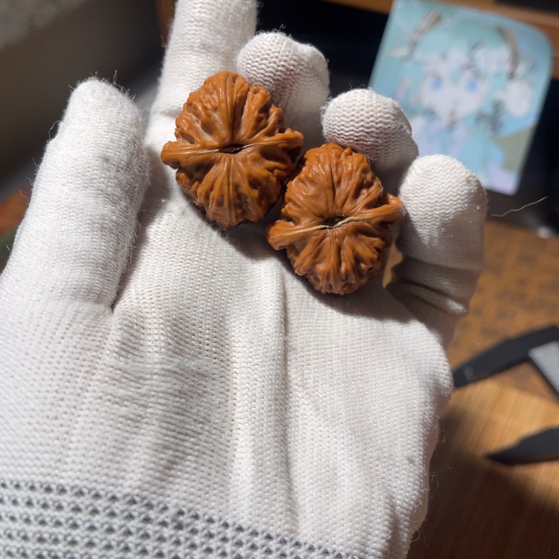 文玩核桃把件29 三角白全品，不退不换