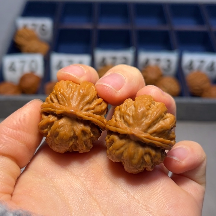 文玩核桃把件霸王龙477
