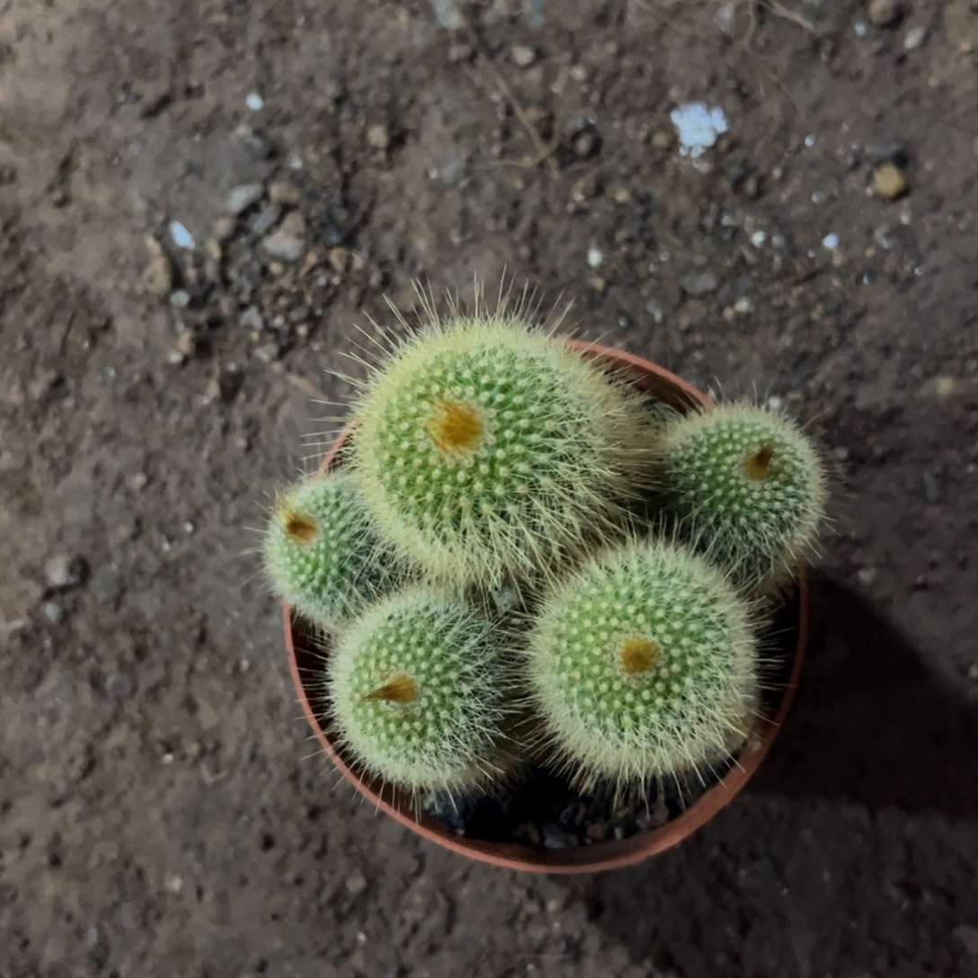 小***子哈哈哈哈哈哈哈哈哈哈哈